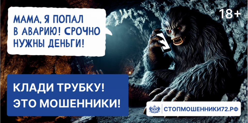В Тюменской области заработал сайт Стопмошенники72.рф